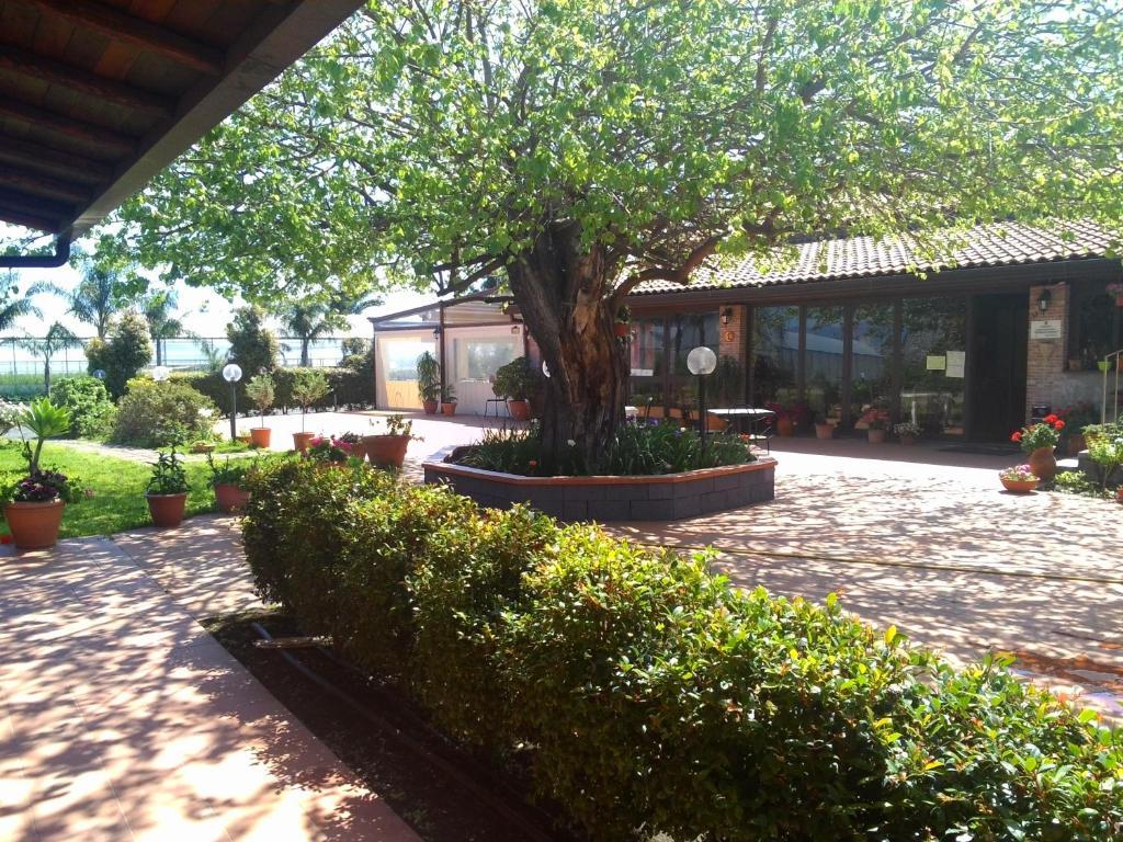 Agriturismo Il Pozzo Antico Маскали Экстерьер фото